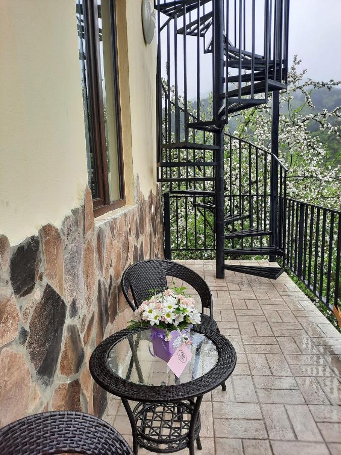 Guest House Bochora Borjomi Εξωτερικό φωτογραφία